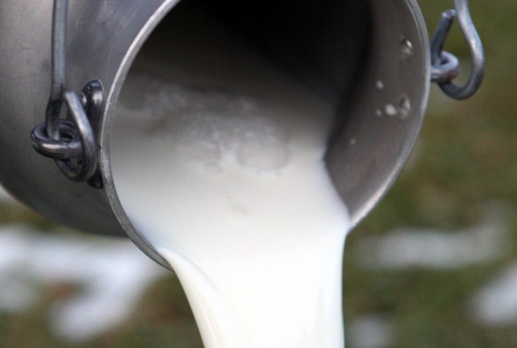 La vertenza latte è scomparsa dal dibattito politico