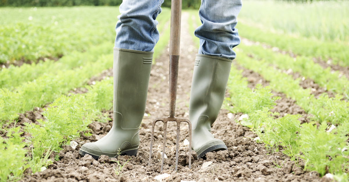 Europa: un miliardo di euro per i finanziamenti agricoli con priorità ai giovani