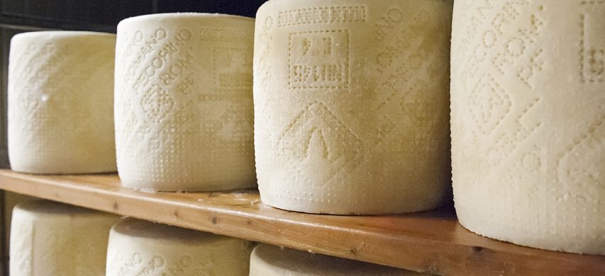 Il consorzio del Pecorino romano approva il lancio di tre nuove tipologie di prodotti