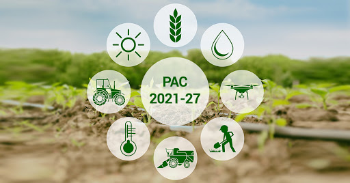 AGRINSIEME: PAC POST2020, PRIORITARIO LAVORARE PER DARE CERTEZZA GIURIDICA AD AGRICOLTORI GARANTENDO CONTINUITÀ STRUMENTI ESISTENTI