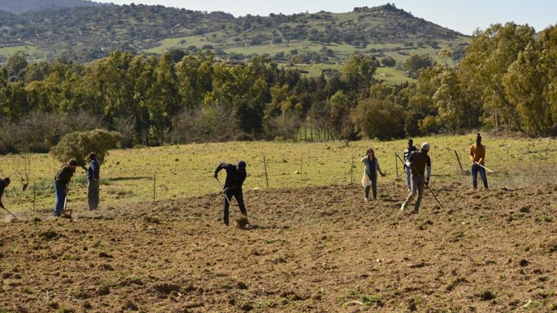 Copagri Nuoro chiede nuovi investimenti per le campagne