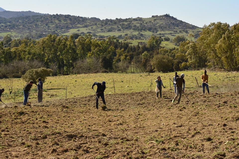 Copagri Nuoro chiede nuovi investimenti per le campagne