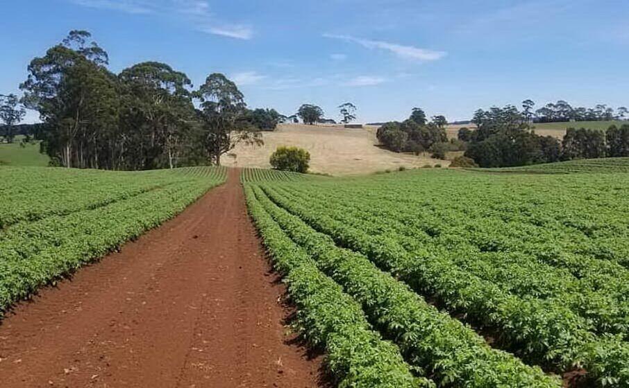 Blocco di contributi a 300 agricoltori sardi per problemi burocratici