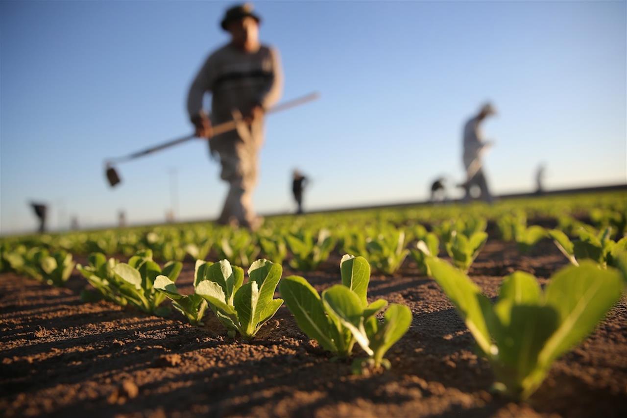 12° incontro per il Biodistretto Sud Sardegna, il 5 ottobre 2021 dedicato all’ortofrutta