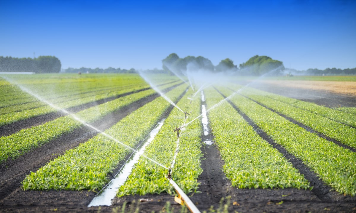 Il Consorzio di Bonifica della Sardegna Meridionale ha deciso di erogare l’acqua anche a chi non è in regola con i pagamenti