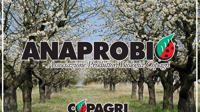 COPAGRI: NASCE ANAPROBIO, L’ASSOCIAZIONE NAZIONALE DEI PRODUTTORI BIOLOGICI DELLA CONFEDERAZIONE