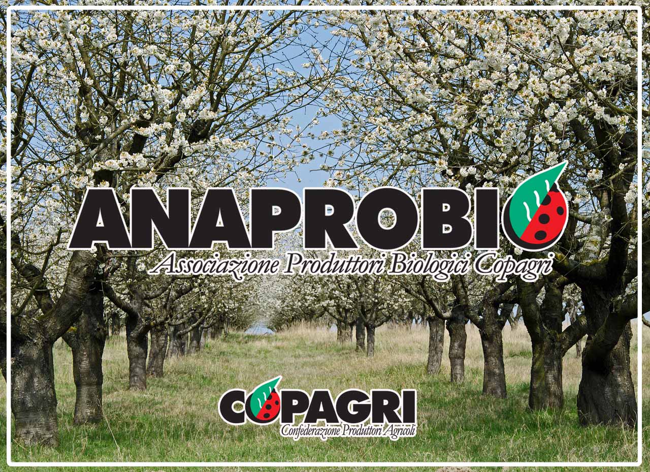 COPAGRI: NASCE ANAPROBIO, L’ASSOCIAZIONE NAZIONALE DEI PRODUTTORI BIOLOGICI DELLA CONFEDERAZIONE