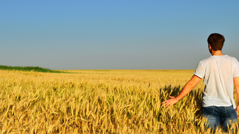 Copagri Sardegna: costituito il coordinamento regionale dei giovani agricoltori