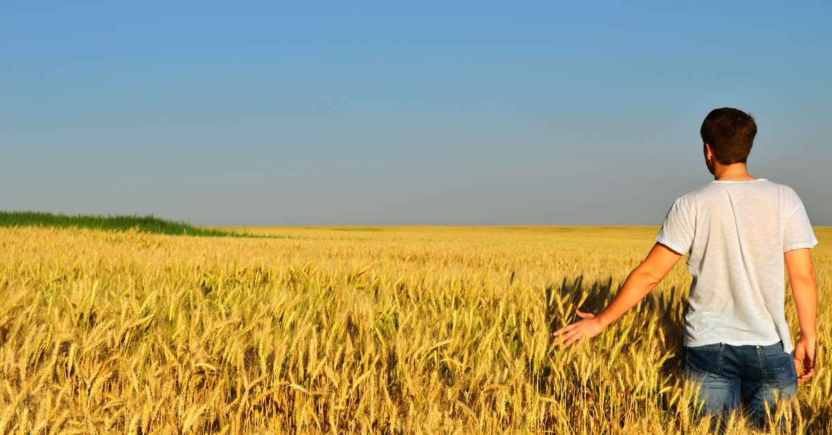 Copagri Sardegna: costituito il coordinamento regionale dei giovani agricoltori