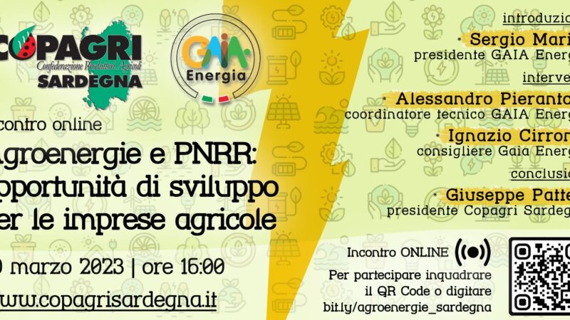 Agroenergie e PNRR: opportunità di sviluppo per le imprese agricole. Incontro online sulla piattaforma bit.ly