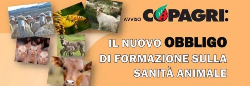 Copagri Sardegna: online il corso di formazione obbligatorio sulla sanità animale